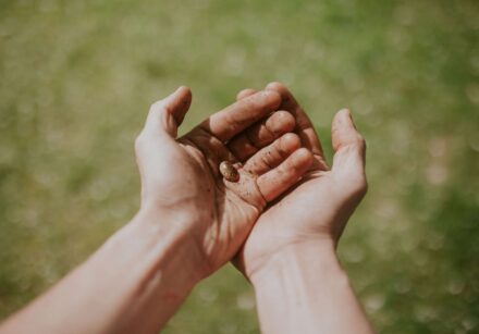 A seed in the palm on someone's cupped hands. In the background we can see green grass.