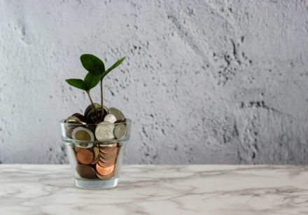 A seedling grows out of a glass filled with money.